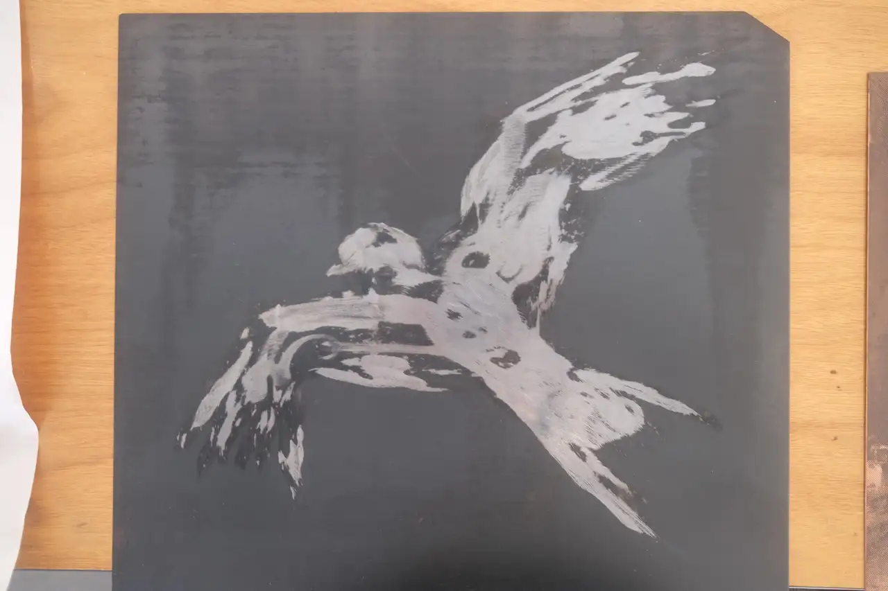 Y Barcud Coch (Red kite)